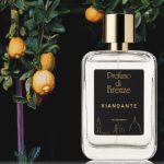 P. DI FIRENZE - VIANDANTE - Profumo - PROFUMO DI FIRENZE
