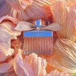 15905-6037-6035-6036